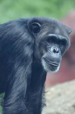 Book cover for Chimpanzee on Alert Great Ape Animal Journal