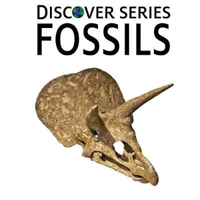 Book cover for Fossils