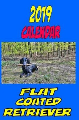 Cover of 2019 Calendar Flat Coated Retriever