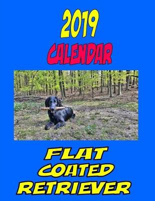 Book cover for 2019 Calendar Flat Coated Retriever