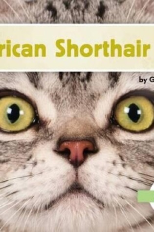 Cover of American Shorthair Cats