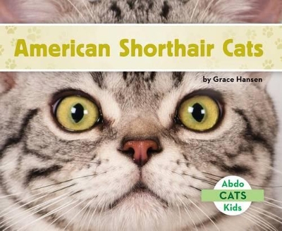 Book cover for American Shorthair Cats