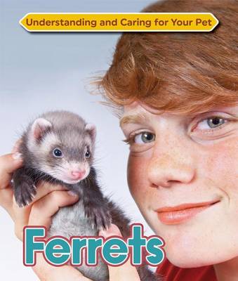 Book cover for Ferrets