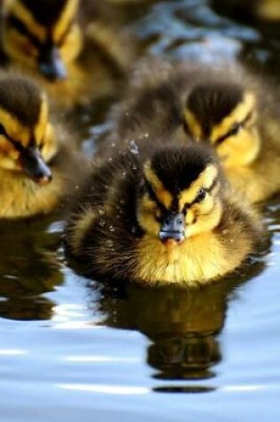 Cover of These Chicks Will Come A-Swimming Journal