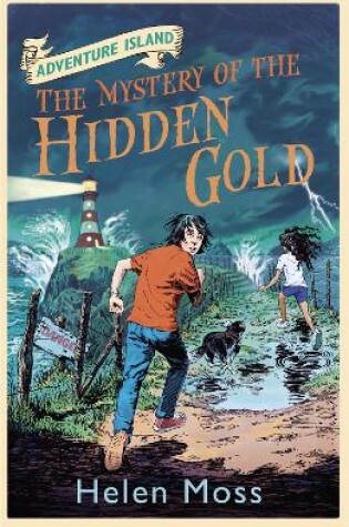 Cover of The Mystery of the Hidden Gold