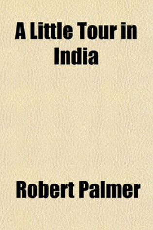 Cover of A Little Tour in India
