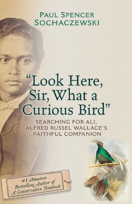 Book cover for "Look Here, Sir, What a Curious Bird"