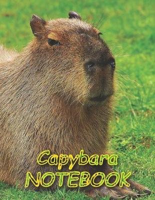 Cover of Capybara NOTEBOOK
