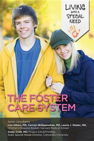 Cover of The Foster Care System