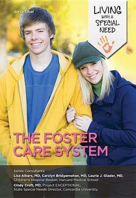 Cover of The Foster Care System