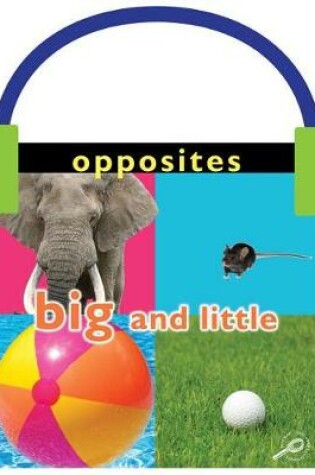 Cover of Opposites: Big and Little