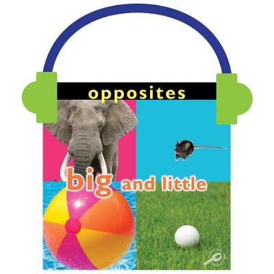 Book cover for Opposites: Big and Little