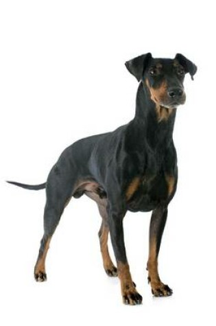 Cover of The Manchester Terrier Dog Journal