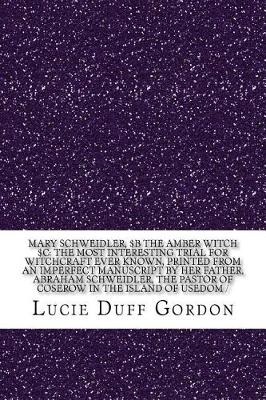 Book cover for Mary Schweidler, $B the Amber Witch $C