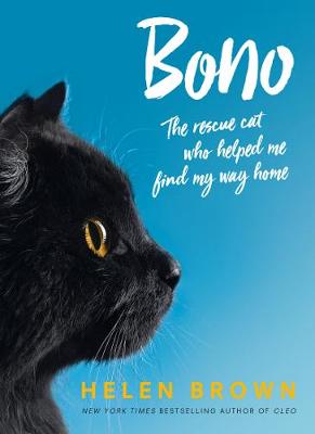 Book cover for Bono