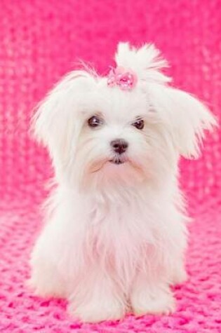 Cover of Maltese Puppy with Pink Bow (for the Love of Dogs)