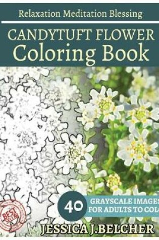 Cover of Candytuft Flower Coloring Book for Adults Relaxation Meditation Blessing