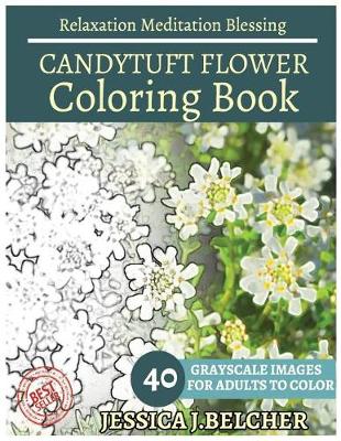 Book cover for Candytuft Flower Coloring Book for Adults Relaxation Meditation Blessing