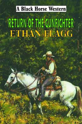 Book cover for Return of the Gun Fighter
