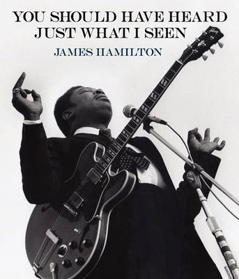 Cover of James Hamilton: You Should Have Heard Just What I Seen