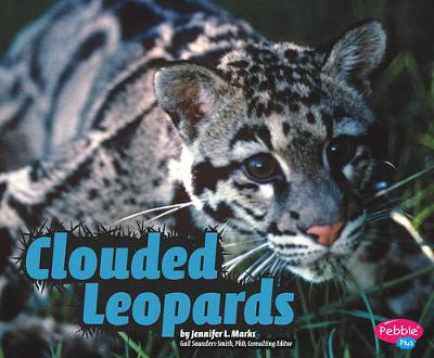 Book cover for Clouded Leopards