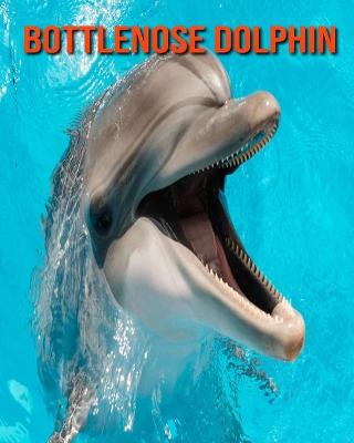 Book cover for Bottlenose Dolphin