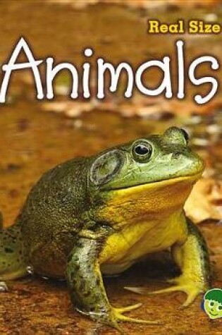 Cover of Animals: Real Size Science (Real Size Science)