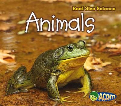 Book cover for Animals: Real Size Science (Real Size Science)