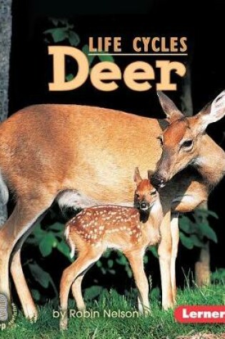 Cover of Deer