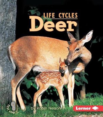 Book cover for Deer