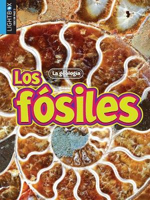 Book cover for Los Fósiles