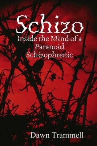 Cover of Schizo: Inside the Mind of a Paranoid Schizophrenic