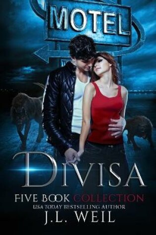 Cover of The Divisa Series