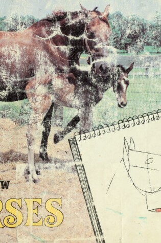 Cover of Horses