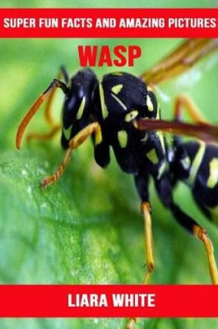 Cover of Wasp