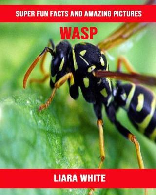 Book cover for Wasp