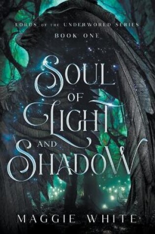 Cover of Soul of Light and Shadow