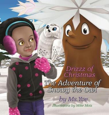 Book cover for The Adventure of Snowy the Owl