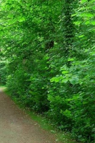 Cover of Walking Down the Forest Path Notebook