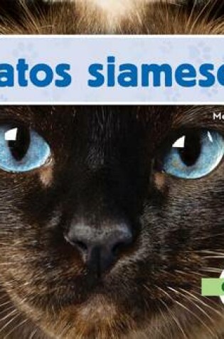 Cover of Gatos Siameses (Siamese Cats) (Spanish Version)