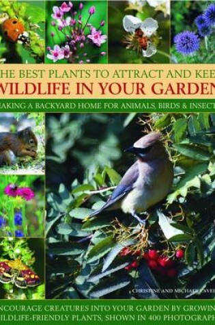 Cover of Best Plants to Attract and Keep Wildlife in the Garden