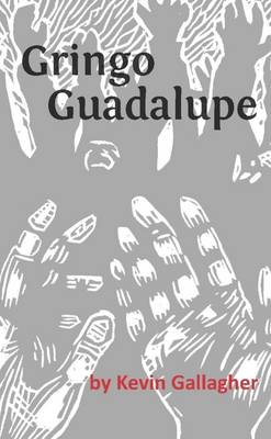 Book cover for Gringo Guadalupe