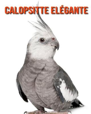 Book cover for Calopsitte Elégante