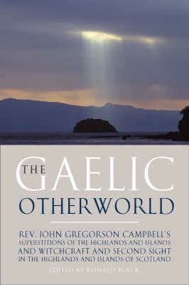 Book cover for The Gaelic Otherworld