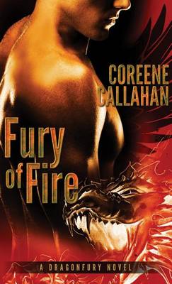 Book cover for Fury of Fire