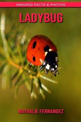 Cover of Ladybug