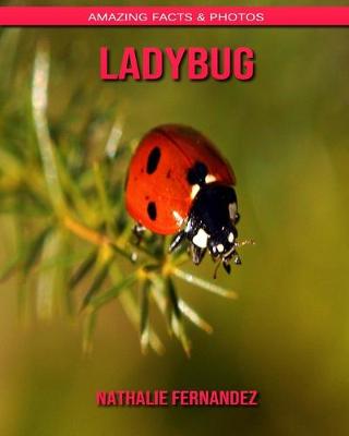 Book cover for Ladybug