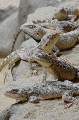 Book cover for Pretty Steppe Agama Lizards All in a Row Journal (Trapelus Sanguinolentus)