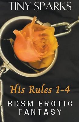 Book cover for His Rules 1-4