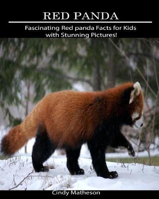 Book cover for Red Panda